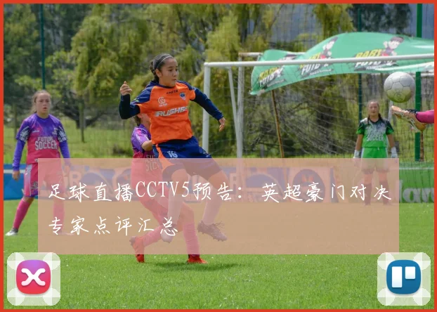 足球直播CCTV5预告：英超豪门对决专家点评汇总