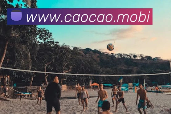 云开体育app官网入口登录网页版APP 封面图